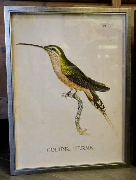 Yellow and green hummingbird print